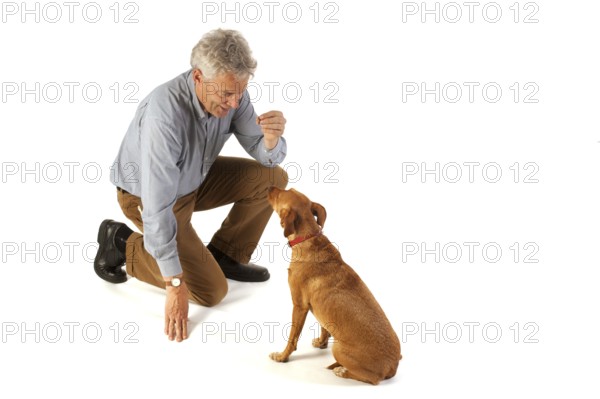 Man is dog training obedience