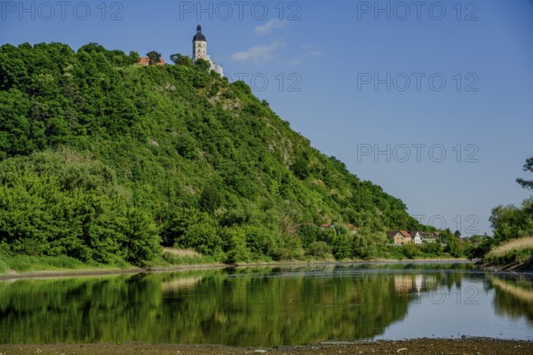 River with green hill and church in the background, small village houses reflected in the water, Old Danube, Bogen, Lower Bavaria