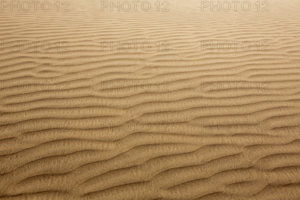 Desert sand dunes texture in Maspalomas Gran Canaria at Canary islands
