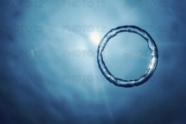 Bubble Ring Underwater ascends towards the Sun