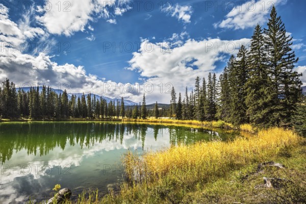 The small superficial lake is surrounded with coniferous forest. The smooth surface of water reflects the cloudy sky. Autumn day in Jasper National Park in Canada