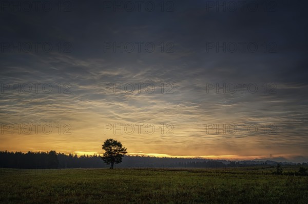 Wigry - beautiful polish unspoilt nature, a wonderful destination for vacation and relaxation
