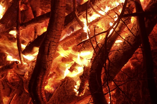 Fire with crackling flames burns branches and twigs and bathes the surroundings in reddish light. Landscape format. Fire with crackling flames burns boughs and twigs and immerses the environment in reddish light. Horizontal format