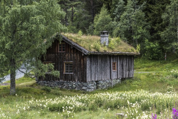 Traditional Timber house with grass roof in the Setesdal in Norway in natural landscape. Old Timber house in the Setesdal in Norway in natural landscape