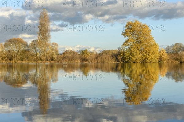 Flooded meadow after heavy rains. Autumn landscape. Bas-Rhin, Collectivite europeenne d'Alsace, Grand Est, France