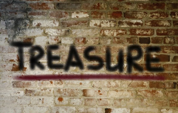 Treasure Concept
