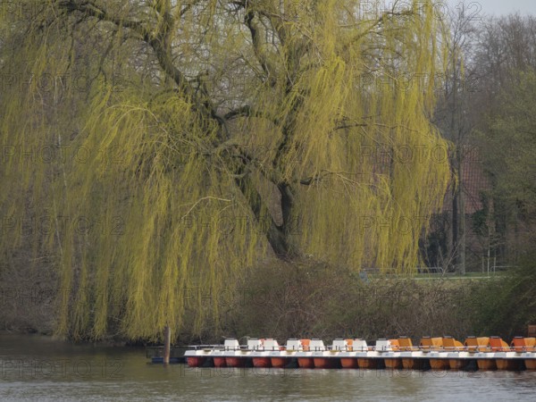 Weeping willow above a boat landing stage at the river, quiet spring atmosphere, borken, lower saxony, germany