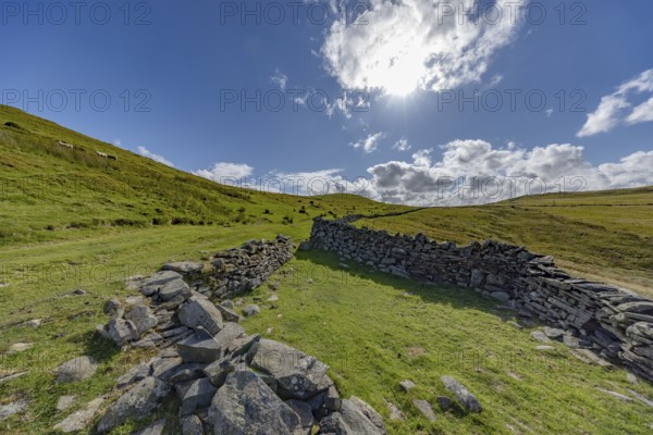 Hilly landscape with green meadows and stone wall, dry stone wall on the edge of Snowdonia National Park, Penmaenmawr, Dwygyfylchi, Caernarfonshire, Conwy County Borough, Wales, United Kingdom