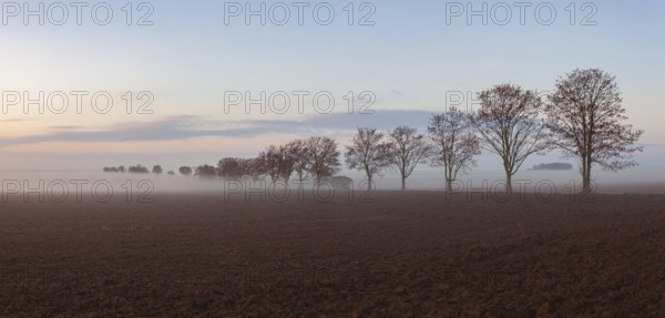 Landscape covered with fog in Central Bohemian Uplands, Czech Republic. Misty morning between fields
