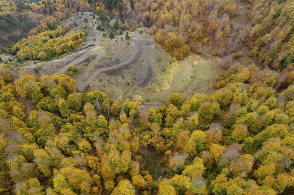 Drone aerial of Autumn forest road. View of autumn forest road with fallen leaves Fall season scenery. Epirus Greece