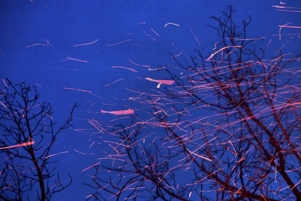 Spinning sparks leave their trajectory as they swirl upwards in the dark blue evening sky. Landscape format. Swirling sparks leave behind their red glowing flight tracks on the whirling ascent into the dark blue evening sky. Horizontal format
