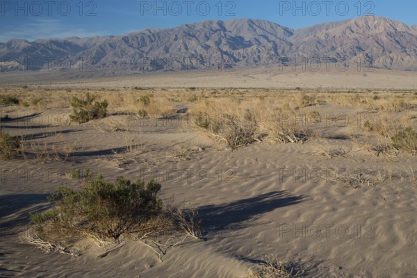 Landscape, near Fiambala, Andes, Mountain, Argentina