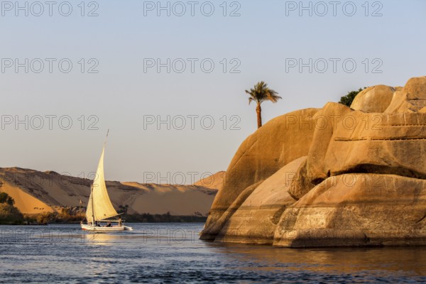 Sailboat on the Nile river at sunset, rock with ancient carvings in the front, Egypt