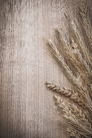 Wheat-rye ears on wooden board food and drink concept