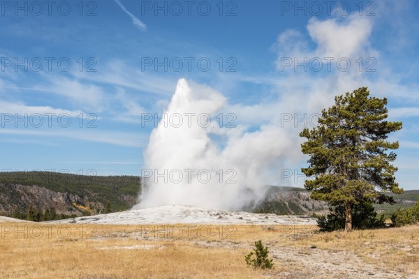 Famous Old Faithful geyser erupting, Yellowstone National Park, USA