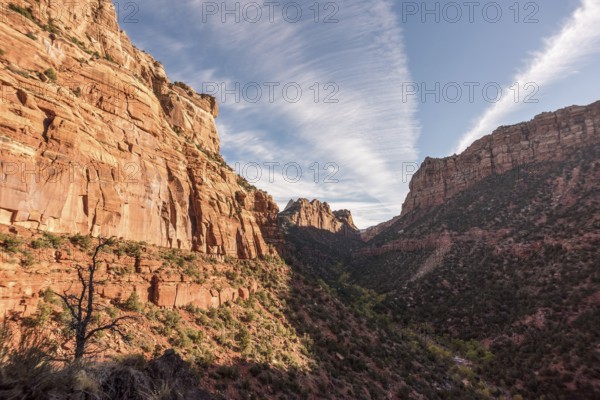 Hiking the Left Fork Trail to the Subway gorge, Zion National Park, USA