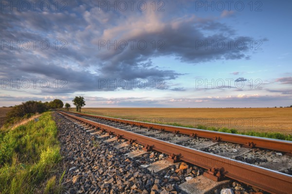 Old Railway tracks running through a field stretch to rural countryside at sunset. Single railway track at sunset, Czech Republic