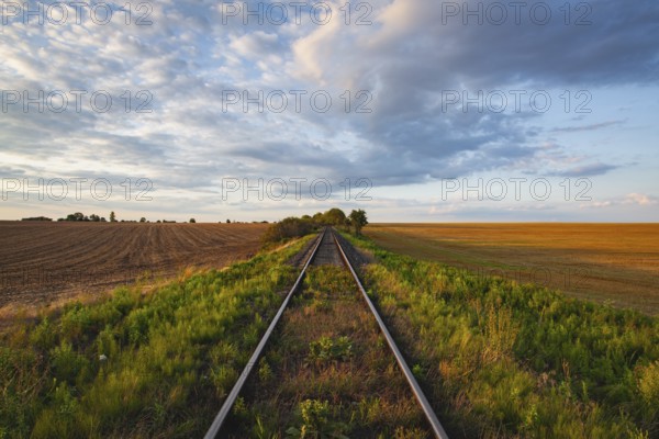 Old Railway tracks running through a field stretch to rural countryside at sunset. Single railway track at sunset, Czech Republic