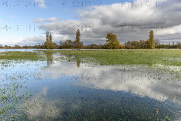 Flooded meadow after heavy rains. Autumn landscape. Bas-Rhin, Collectivite europeenne d'Alsace, Grand Est, France