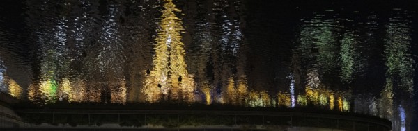 Reflection of a decorated Christmas tree in the water at Corneliusplatz on Königsallee in Düsseldorf, North Rhine-Westphalia, Germany, 29 November 2024