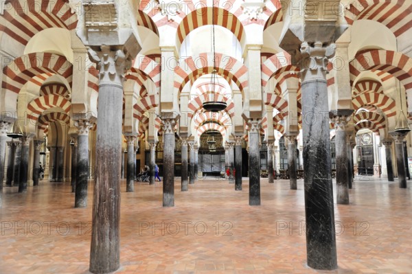 La Mezquita, Mosque, Cathedral of Cordoba, Cordoba, Andalusia, Spain, Europe, Open hall with columns and brick floor in an Islamic building