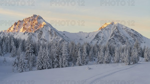 Winter landscape picture from tannheimer valley mountain pirschling and schönkahler with fresh snow