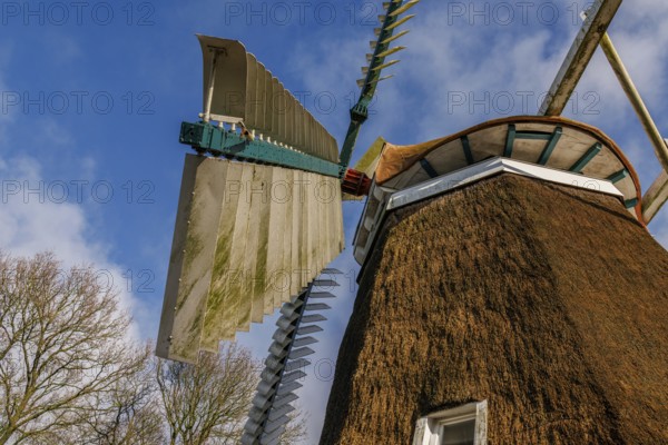 Windmill with large wings in front of a clear sky and surrounded by nature, burlage, east frisia, germany