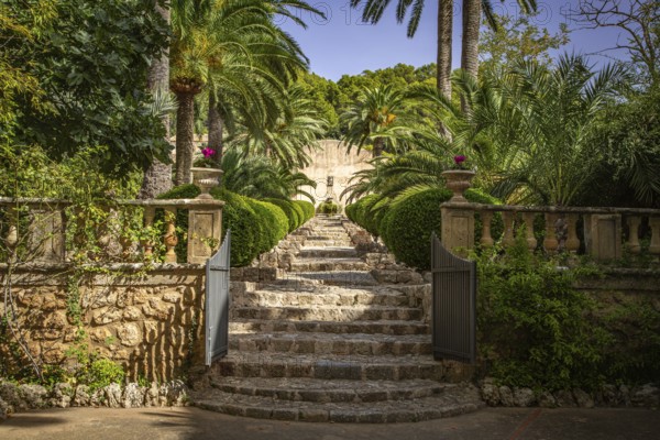 Stone steps lead through a Mediterranean garden with lush palm trees, Jardines de Alfabia, Bunyola, Majorca, Spain