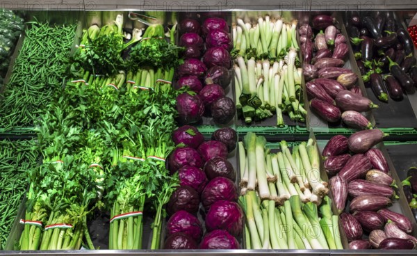 Vegetables on shelf in supermarket. Celery, eggplant, cabbage and beans