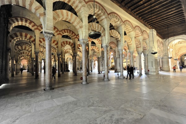 La Mezquita, Mosque, Cathedral of Cordoba, Cordoba, Andalusia, Spain, Europe, Spacious mosque interior with arches and columns, light falls in softly