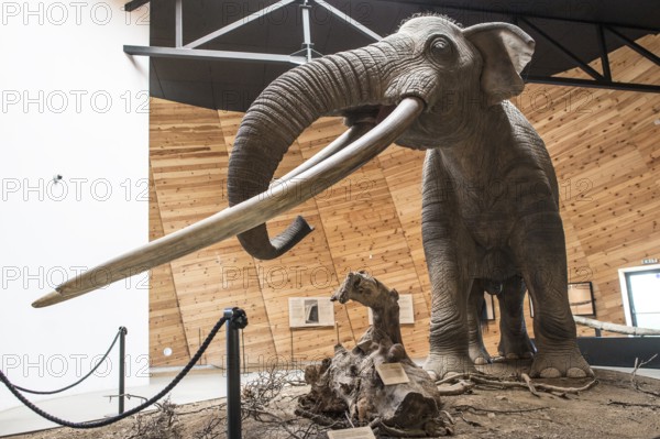 Model of mastodon in real stature