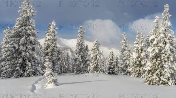 View from Mountain Wannenkopf near Nagelfluhkette in winter above the clouds