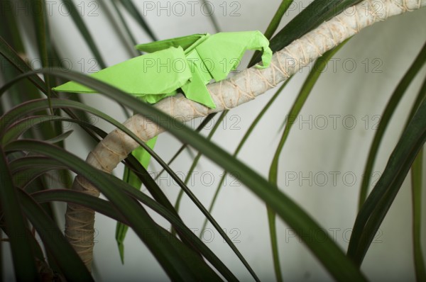 Parrot on a tree. Folded origami style. Paper made parrot