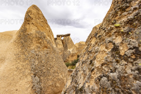Rock Formation in the Devrent Valley in Cappadocia, Camel Valley, Turkey