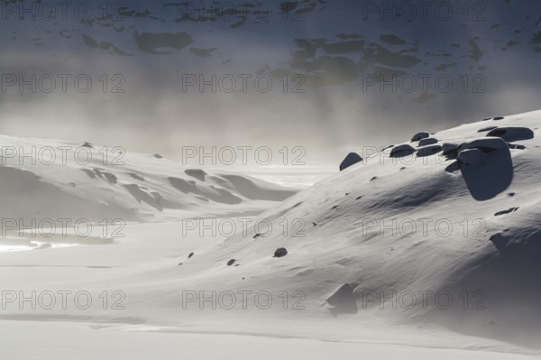 Ice Landscape Oderteich