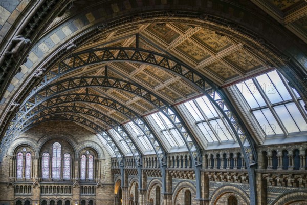 Ceiling detail of the Natural History Museum in London