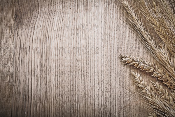 Wheat rye ears on wooden board copyspace food and drink concept
