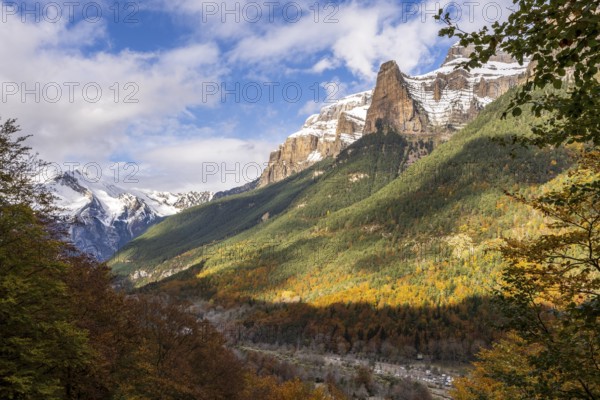 Autumn forest on the Turieto road, Ordesa i Monte Perdido National Park, Province of Huesca, Aragon