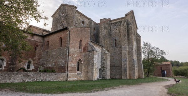 Ruin of the medieval Cistercian monastery San Galgano in the Tuscany, Italy