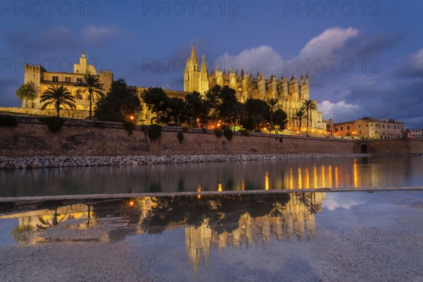 Cathedral of Mallorca, 13th century, Historical-artistic monument, Palma, mallorca, balearic islands, spain