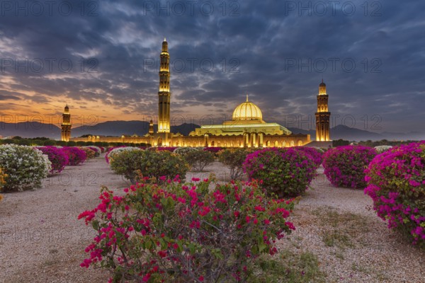 Countryside, Oman, Mosque, blue hour, Illuminated, Building, Architecture, Sultan Qabus Grand Mosque, Muscat Muscat, Muscat, Oman