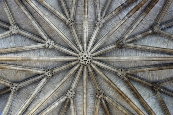 Chapter house, star vault, St., Saint, Saint