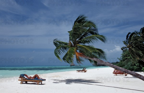 Beach on Maldives Island, Maldives, Indian Ocean, Medhufushi, Meemu Atoll