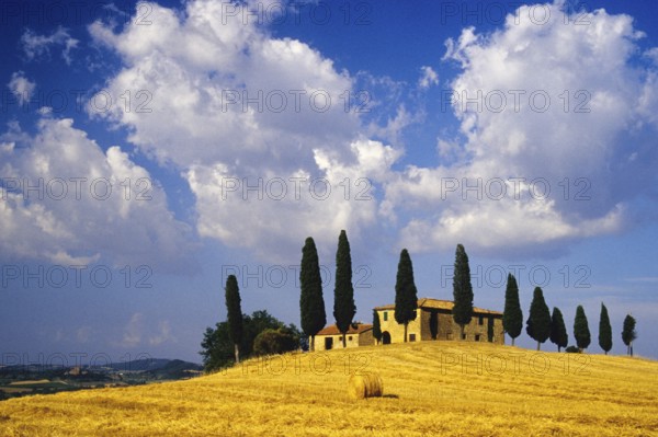 Landscape in Tuscany in the morning mist, Podere Belvedere winery in Val d'Orcia