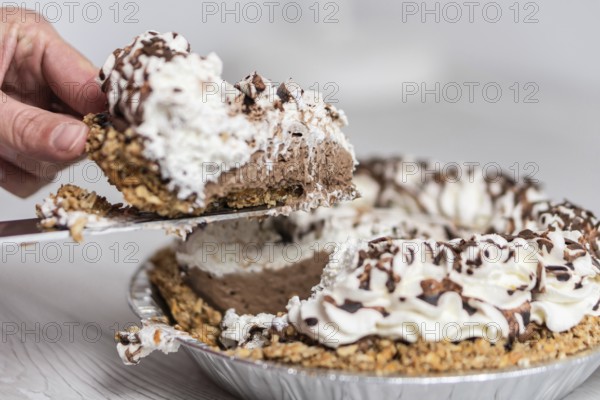 Photo of delicious cream pie ready to server