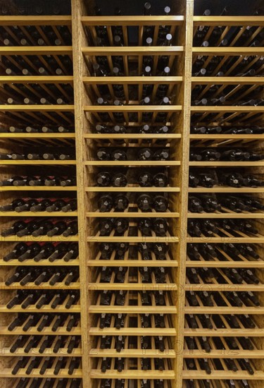 Bottles with wine stacked on wooden racks