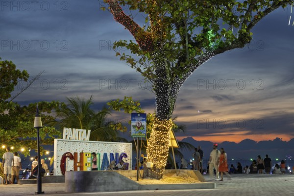 Tree, illuminated, promenade with people, evening, Chenang Beach, Langkawi, Kedah State, Malaysia, Southeast Asia