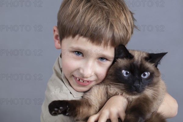 Portrait of a child with a cat. A boy with a Siamese cat