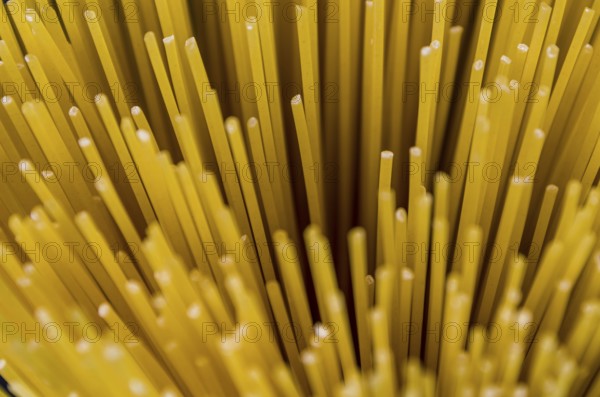 Beautiful background of Italian pasta for various use