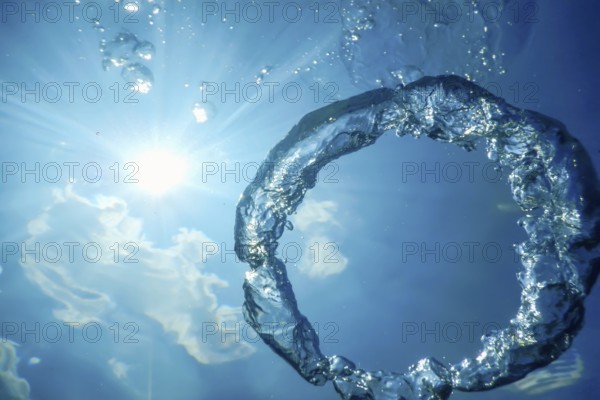 Underwater Bubble Ring Ascends towards the Sun